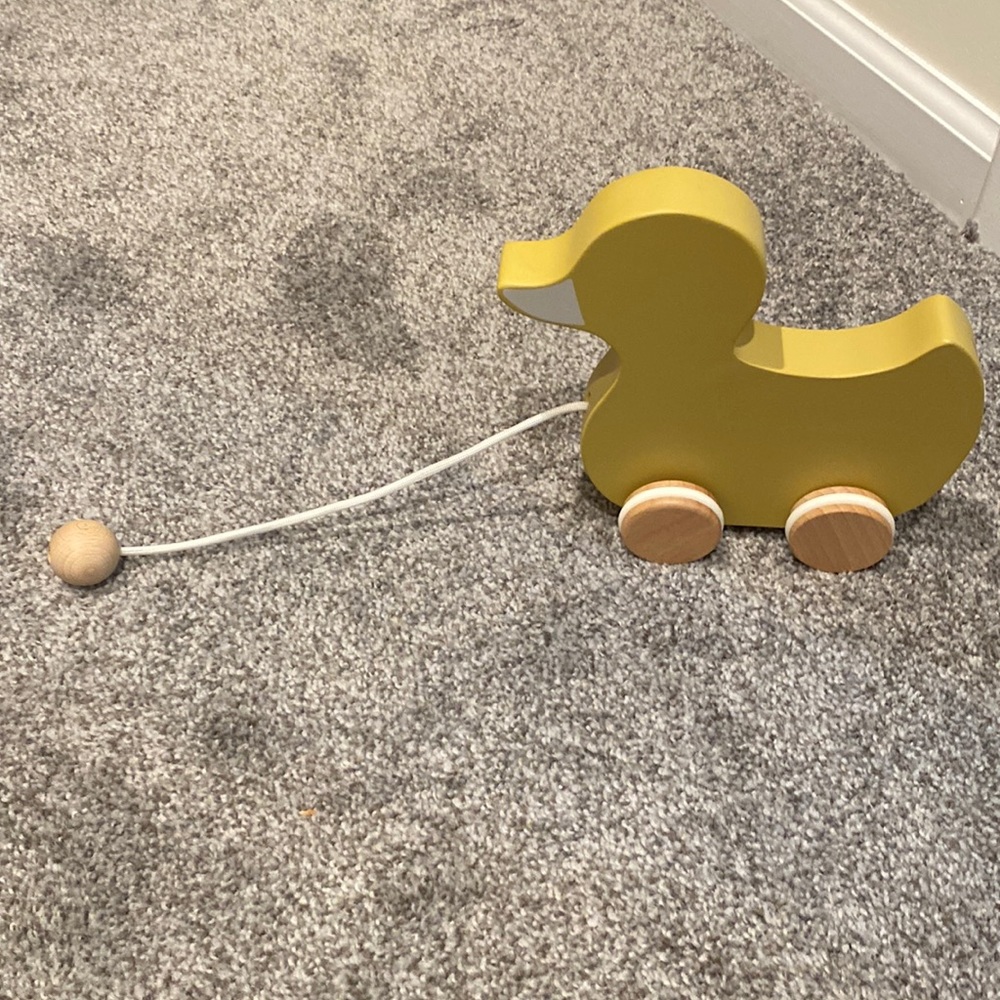 Hearth and Hand Magnolia Pull along Duck